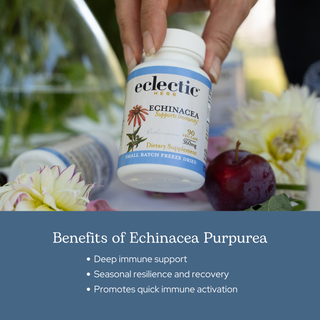 Echinacea Purpurea Capsules