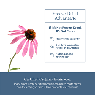 Echinacea Purpurea Capsules