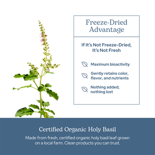 Holy Basil Capsules