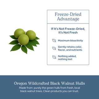 Black Walnut Capsules