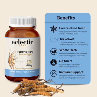 Cordyceps