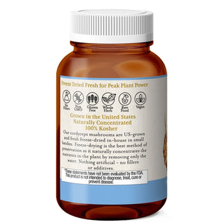 Cordyceps