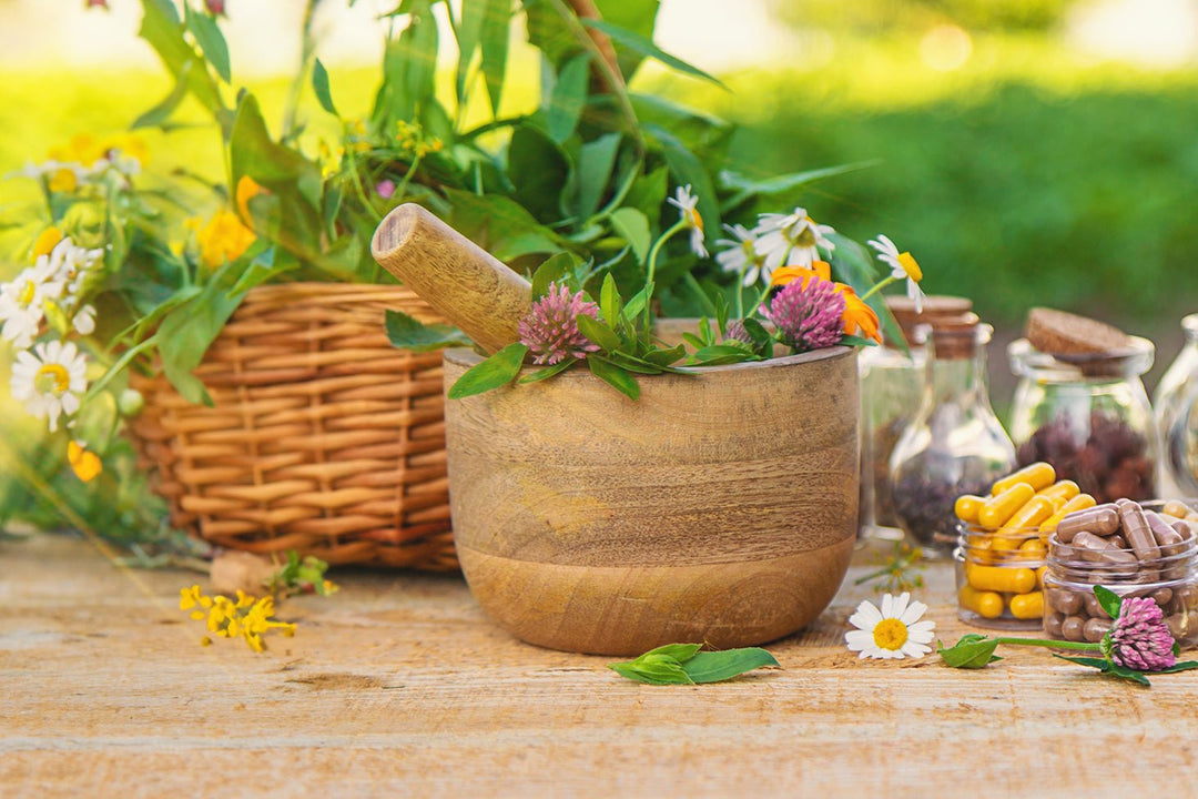 Top 5 Herbs for Combating Stress and Promoting Relaxation - eclecticherb