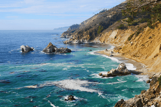 Freeze-dried Bladderwrack