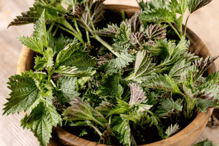 Freeze-dried Nettles