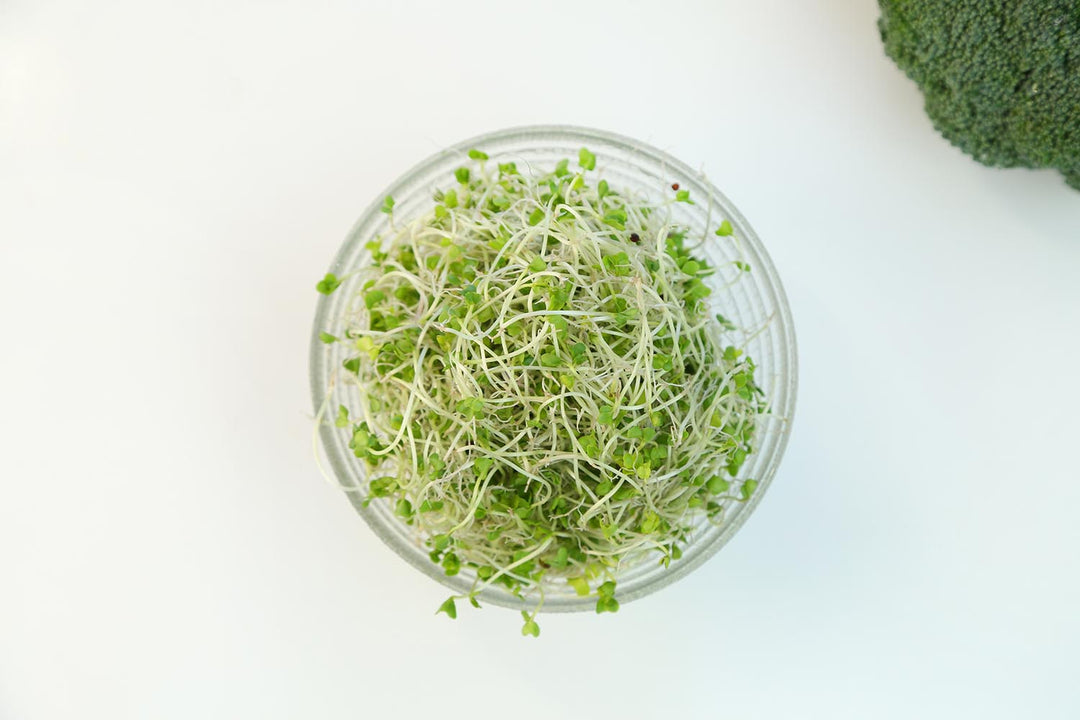 Freeze-dried Broccoli Sprouts: The Superfood You Need to Know - eclecticherb