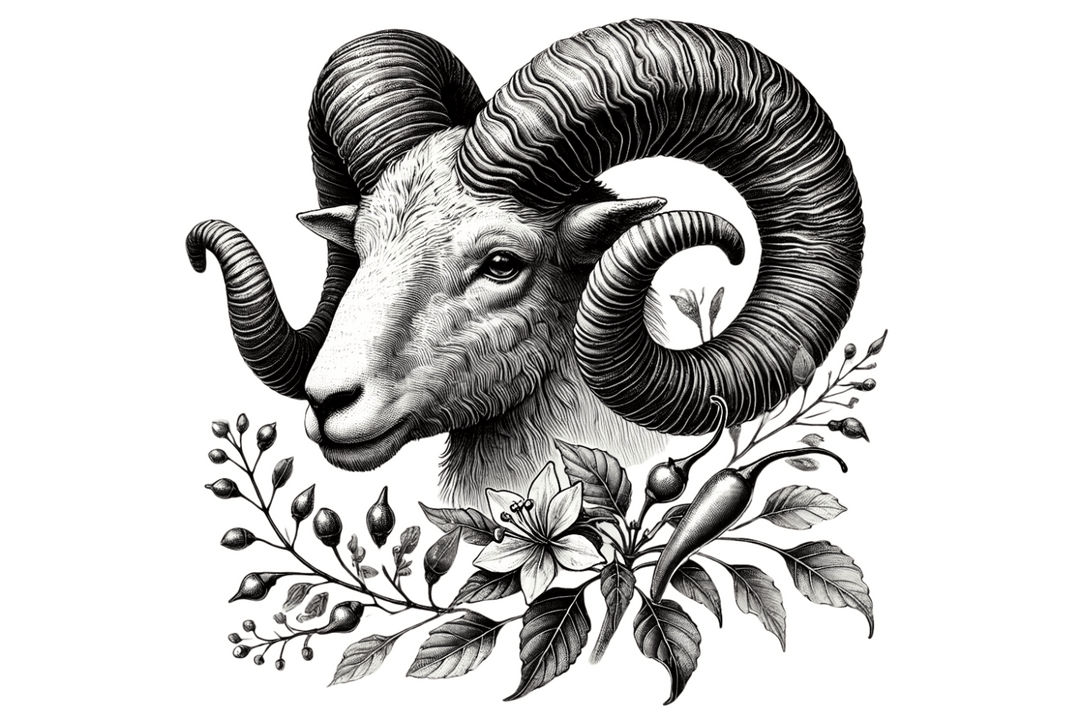 Herbs for Aries
