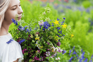 Summer Wildcrafted Flowers