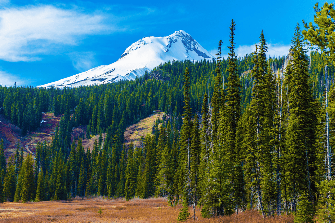 Oregon Farming