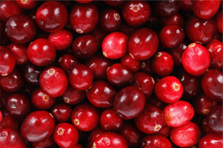 Freeze-Dried Cranberry