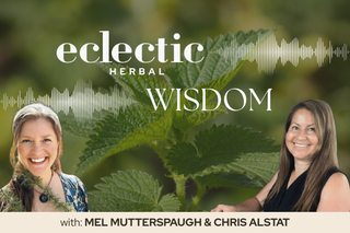 Eclcetic herbal wisdom nettles