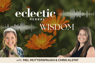Eclectic herbal wisdom calendula