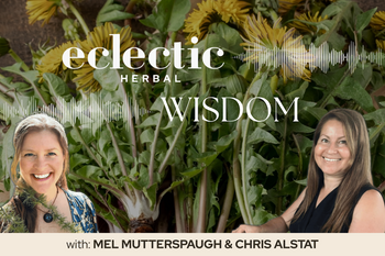 Eclectic Herbal Wisdom Dandelion