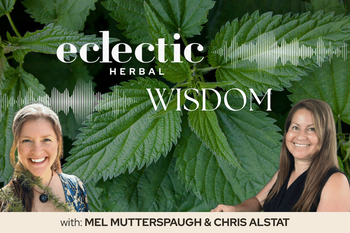 Eclectic Herbal Wisdom Stinging Nettles
