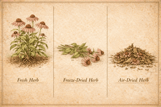 Freeze-dried Herbs