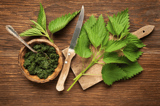 Freeze-dried Calendula