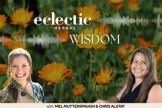 Eclectic Herbal Wisdom Calendula