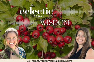 Eclectic Herbal  Wisdom Podcast Hawthorn