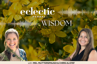 Eclectic Herbal Wisdom St. John's Wort