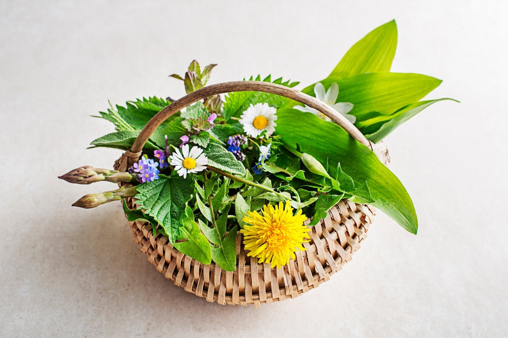Spring Equinox Herbs