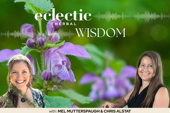 Eclectic Wisdom Podacst