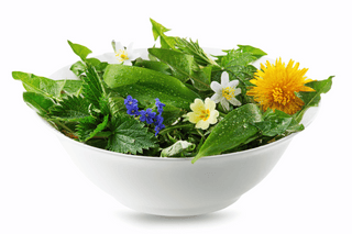 Spring Wildcrafted Herbs