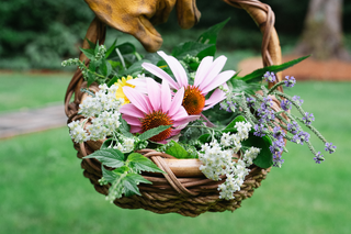 Herbs to Forage this Spring