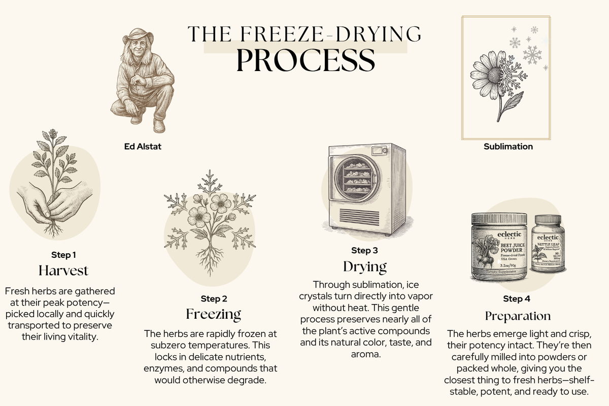 Freeze-dried Herbs