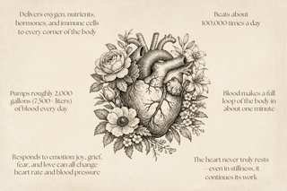 Eclcetic herbal wisdom milk thistle