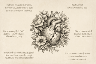 Herbs for the heart