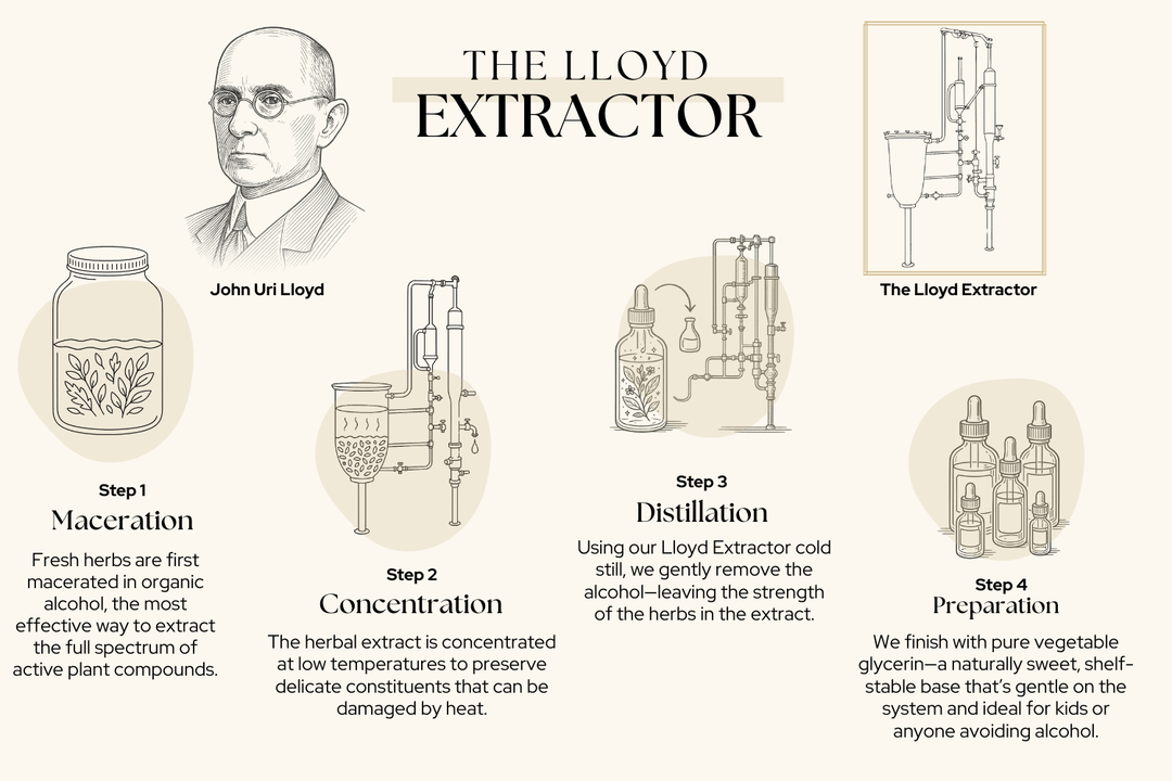 The LLoyd Extractor