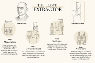 The LLoyd Extractor