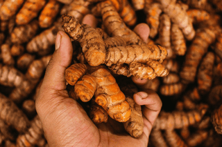 Freeze-dried Turmeric
