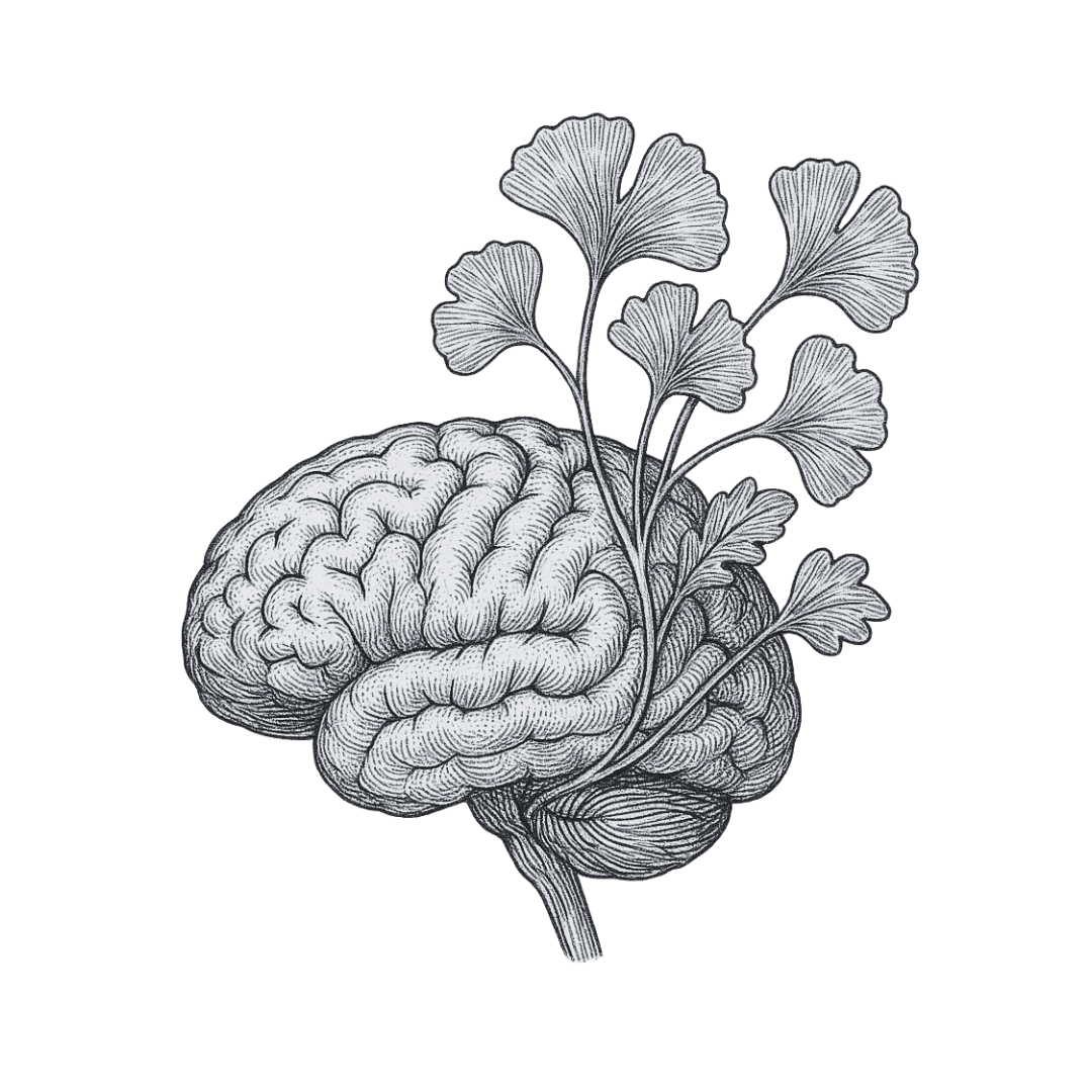 Cognitive, Brain + Vision