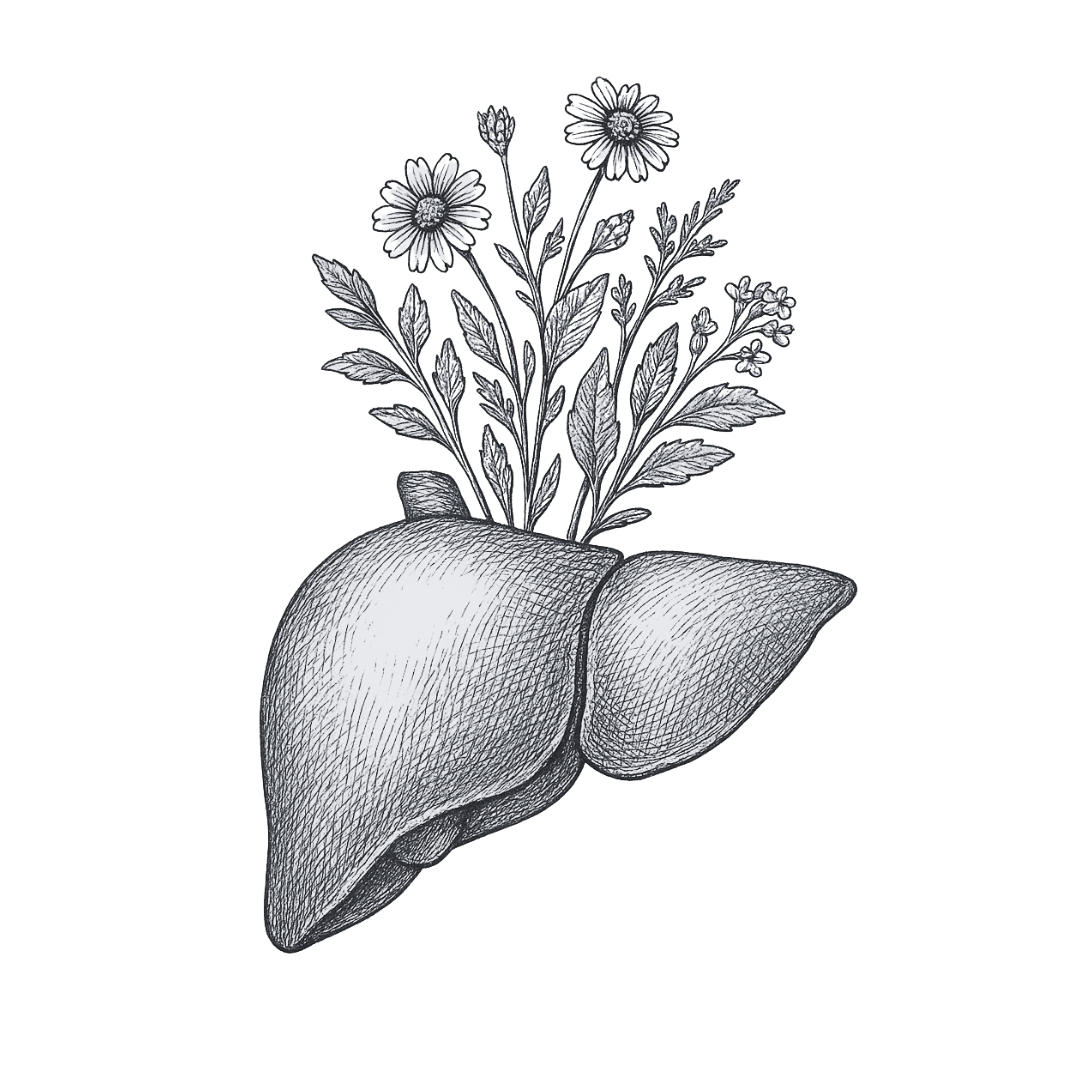Liver + Detox