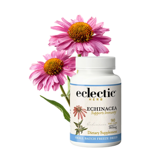 Echinacea