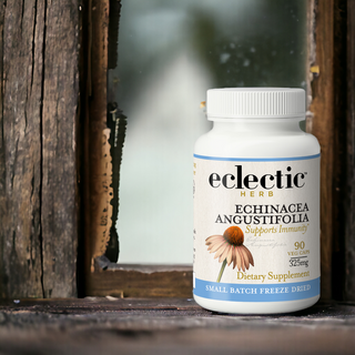 Echinacea
