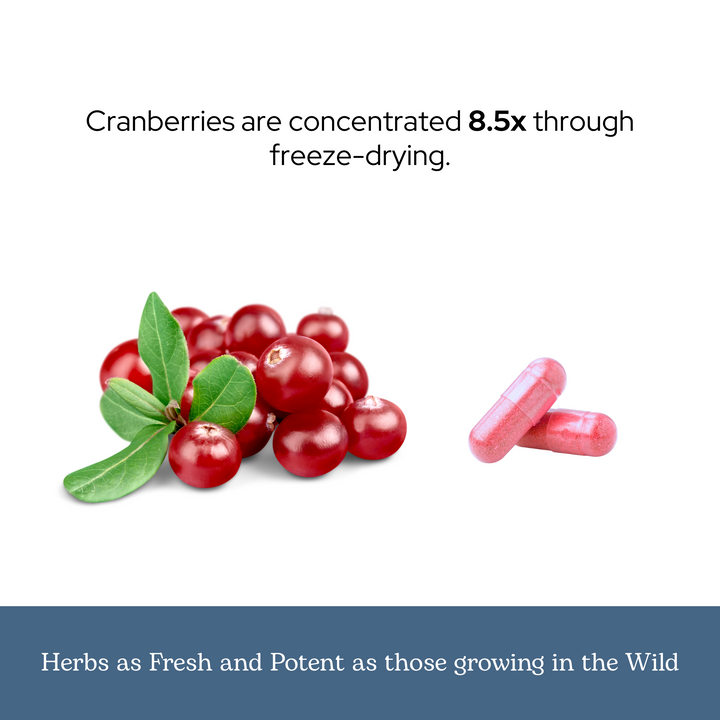 Cranberry Capsules