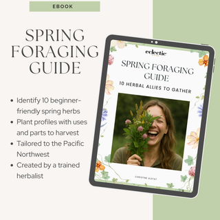 Spring Wildcrafting