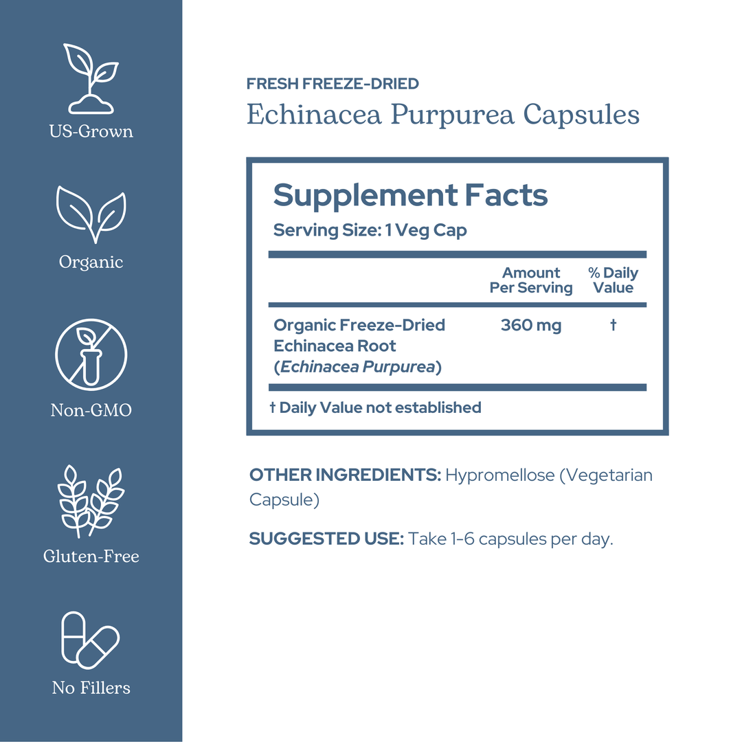 Echinacea Purpurea Capsules