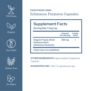 Echinacea Purpurea Capsules