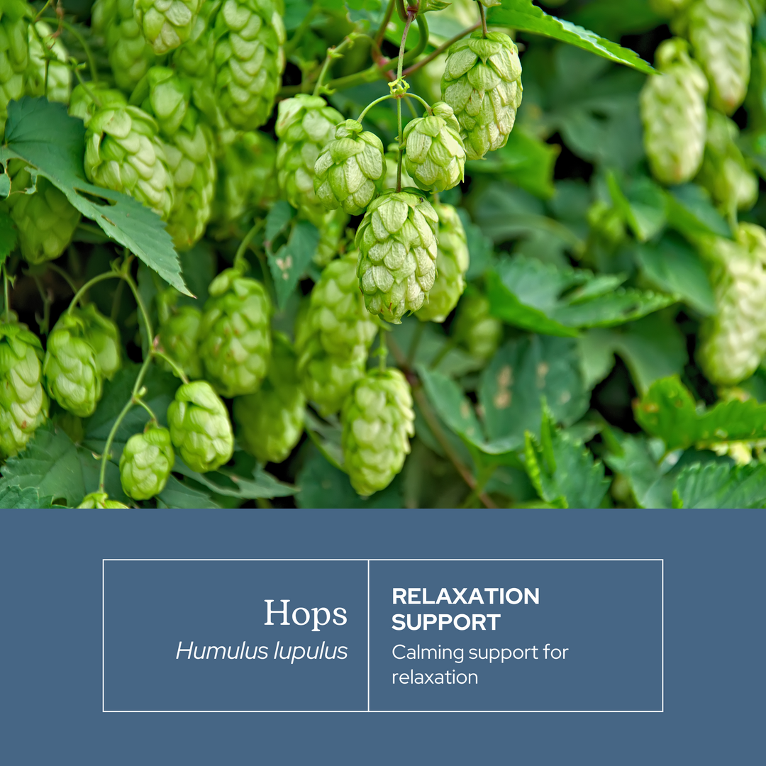 Hops Capsules