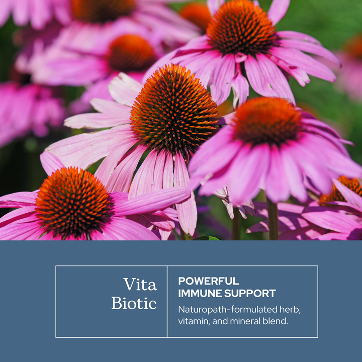 Vitabiotic Bundle