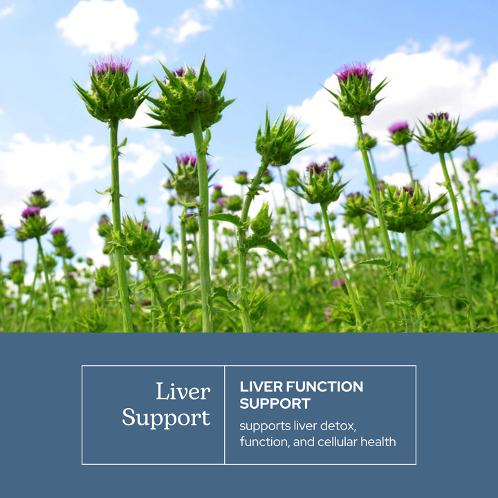 Liver Support