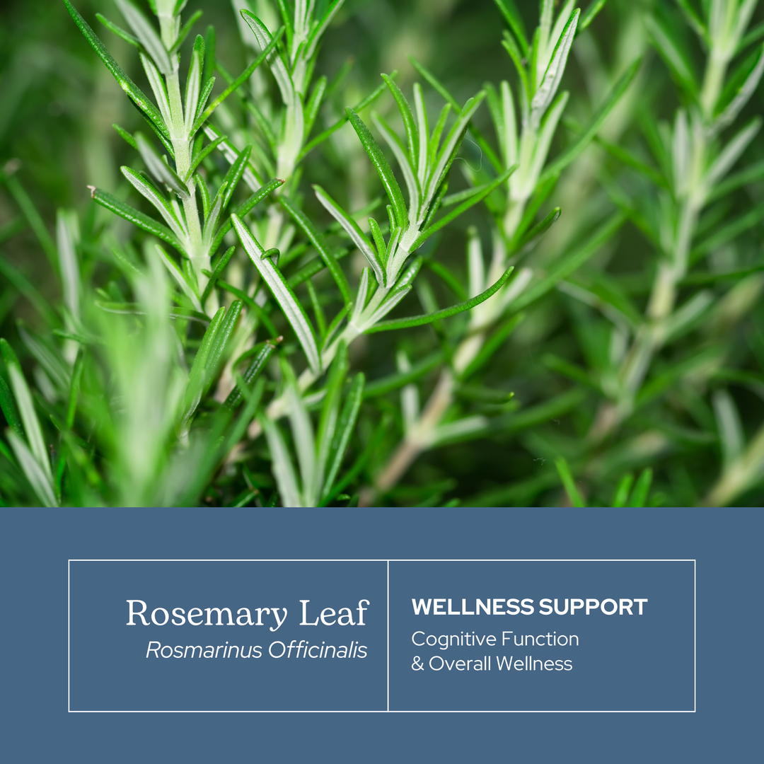 Rosemary Capsules