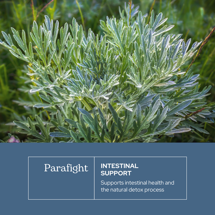 ParaFight Capsules