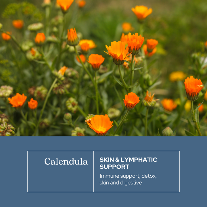 Calendula Capsules