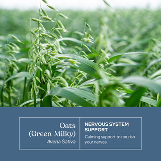 Oats (Green Milky) Capsules