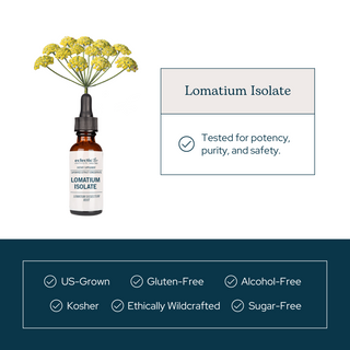 Lomatium
