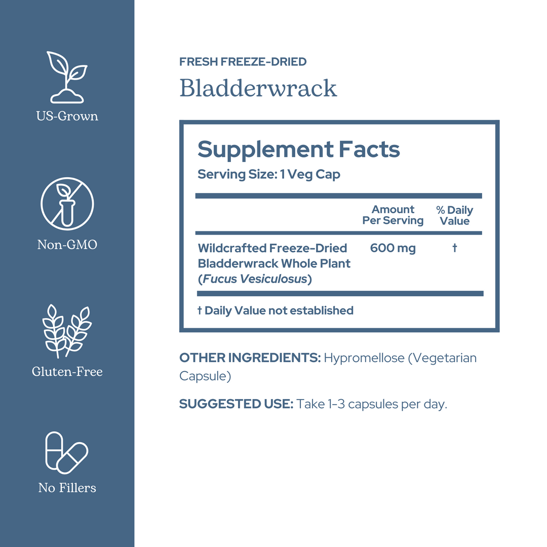 Bladderwrack Capsules